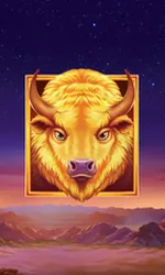 Buffalo's Sun 2