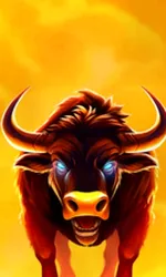 Big Wild Buffalo 2